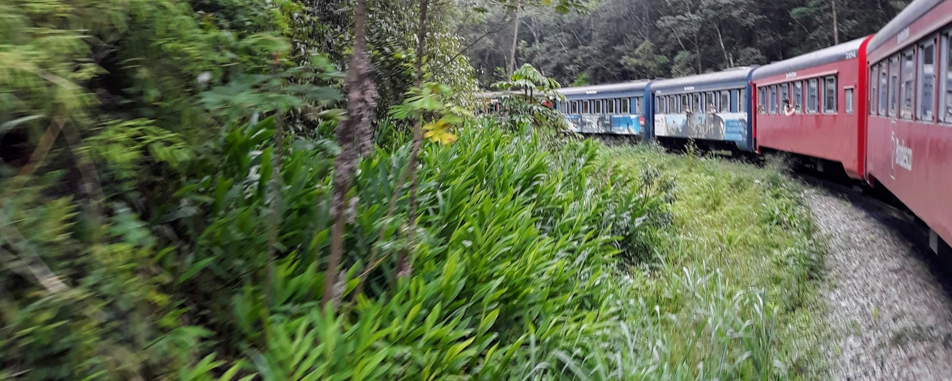 Trem Morretes-Curitiba PR
